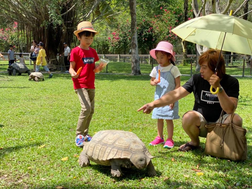 牛轉乾坤遊牧場!全台4大歐風牧場擠牛奶、餵牛寶寶喝ㄋㄟㄋㄟ