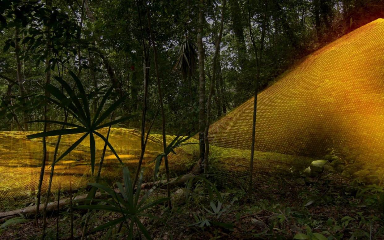 A network of hidden Maya cities have been discovered under the Guatemala jungle   - Wild Blue Media/Channel 4