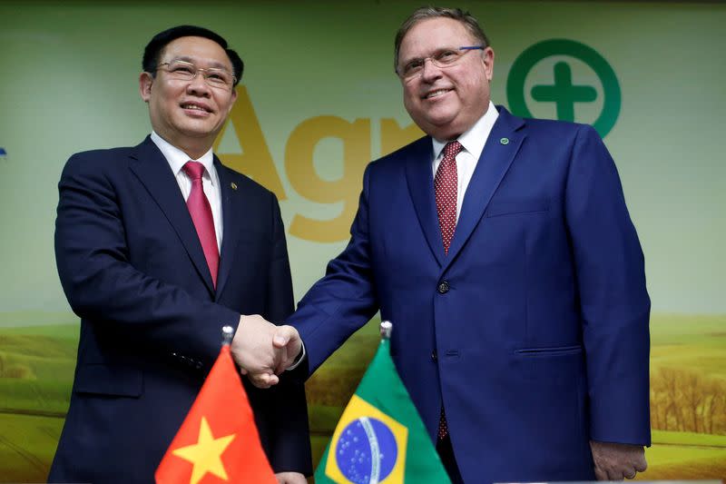 FILE PHOTO: Vietnam's Deputy Prime Minister Vuong Dinh Hue and Brazil's Agriculture Minister Blairo Maggi shake hands after a meeting in Brasilia