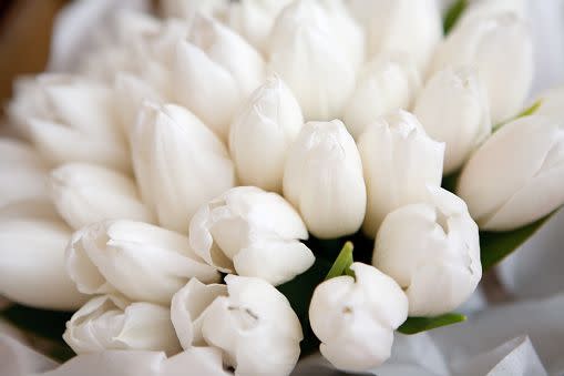 white flowers and flower names