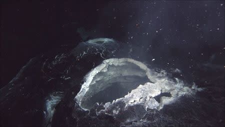 A "snowblower" hydrothermal vent spews hot water and white bits of bacterial mat that are blooming in the chemical-rich hot-spring water, showing that the lava flow that was erupted in 2011 at an undersea volcano dubbed "Axial Seamount", located off the Oregon coast, is still cooling in this undated handout photo provided by Oregon State University. REUTERS/Bill Chadwick, Oregon State University/Handout via Reuters