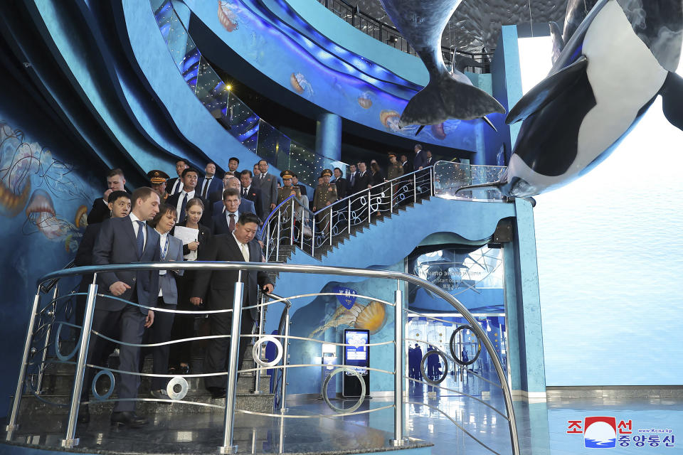 In this photo provided by the North Korean government, North Korea leader Kim Jong Un, front right, visits the Primorsky Aquarium in Vladivostok, Russian Far East Sunday, Sept. 17, 2023. Independent journalists were not given access to cover the event depicted in this image distributed by the North Korean government. The content of this image is as provided and cannot be independently verified. Korean language watermark on image as provided by source reads: "KCNA" which is the abbreviation for Korean Central News Agency. (Korean Central News Agency/Korea News Service via AP)