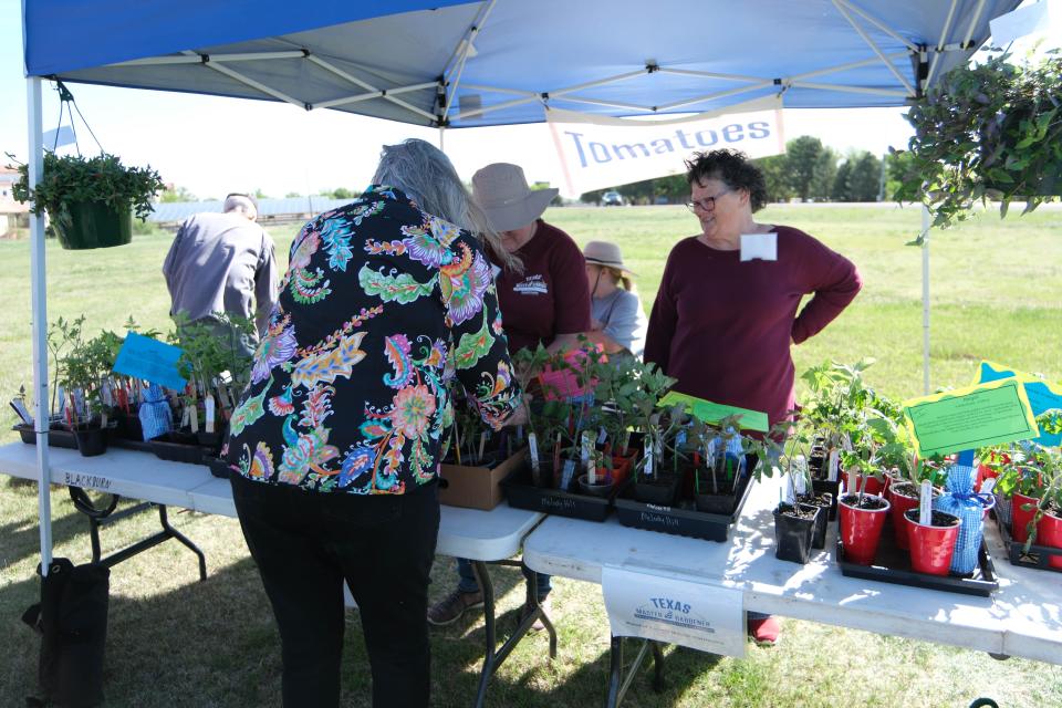 A woman looks over plants at the Randall County Master Gardeners plant sale Saturday as part of Gardenfest at the Texas A&M AgriLife Extension Center in Amarillo.
