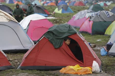 A young migrant peeks from a tent at a makeshift camp at the Greek-Macedonian border, near the Greek village of Idomeni, Greece March 4, 2016. REUTERS/Marko Djurica