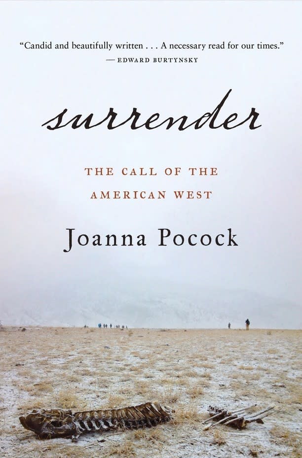 "Surrender: The Call of the American West" by Joanna Pocock.