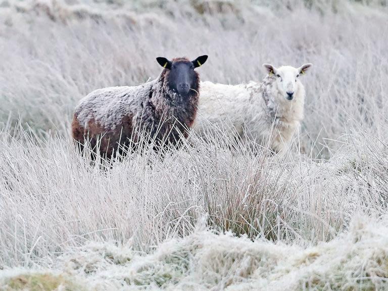 UK weather forecast: Met Office warns of 'thundersnow' as deep freeze grips country