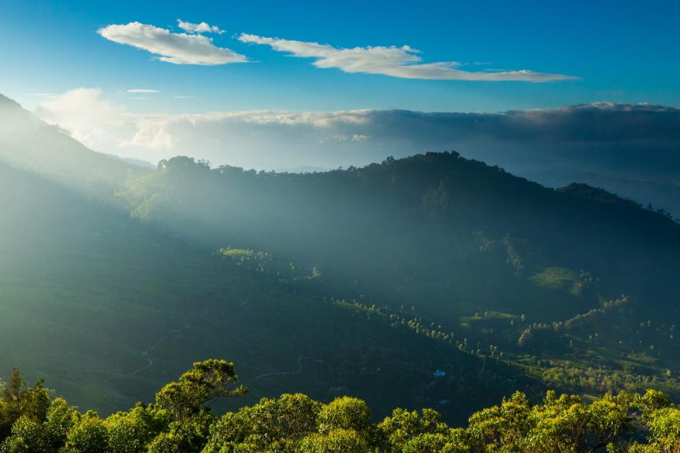 <p>'The Western Ghats offer... an atmospheric mirror to Shimla and Darjeeling, with added jungle appeal... coffee, tea and spice plantations, charmingly dated colonial outposts, thundering waterfalls, and a steam-powered mountain railway. These rugged hills are Unesco listed as one of the top spots for biodiversity in the world, protecting the neelakurinji flower, which blooms only once every 12 years and will be painting the hills in purple livery from August to October 2018.'</p>