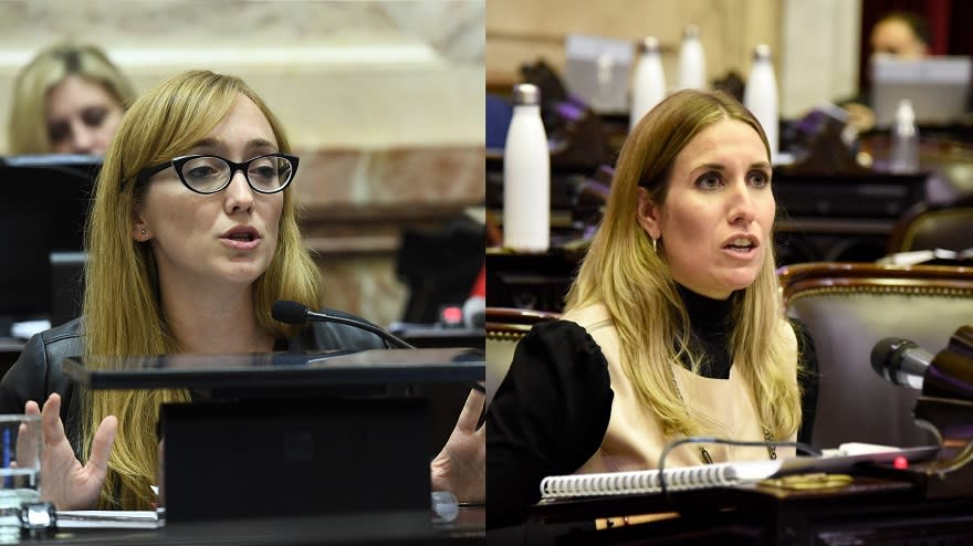 Anabel Fernández Sagasti y Jimena Latorre presentaron proyectos similares en el Congreso.