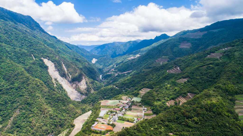 台灣森林面積近220萬公頃，永豐餘投控董座劉慧瑾延續大家長何壽川的理念，認為這是台灣減碳的極佳優勢。（圖／翻攝自花東縱谷國家風景區全球資訊網站）