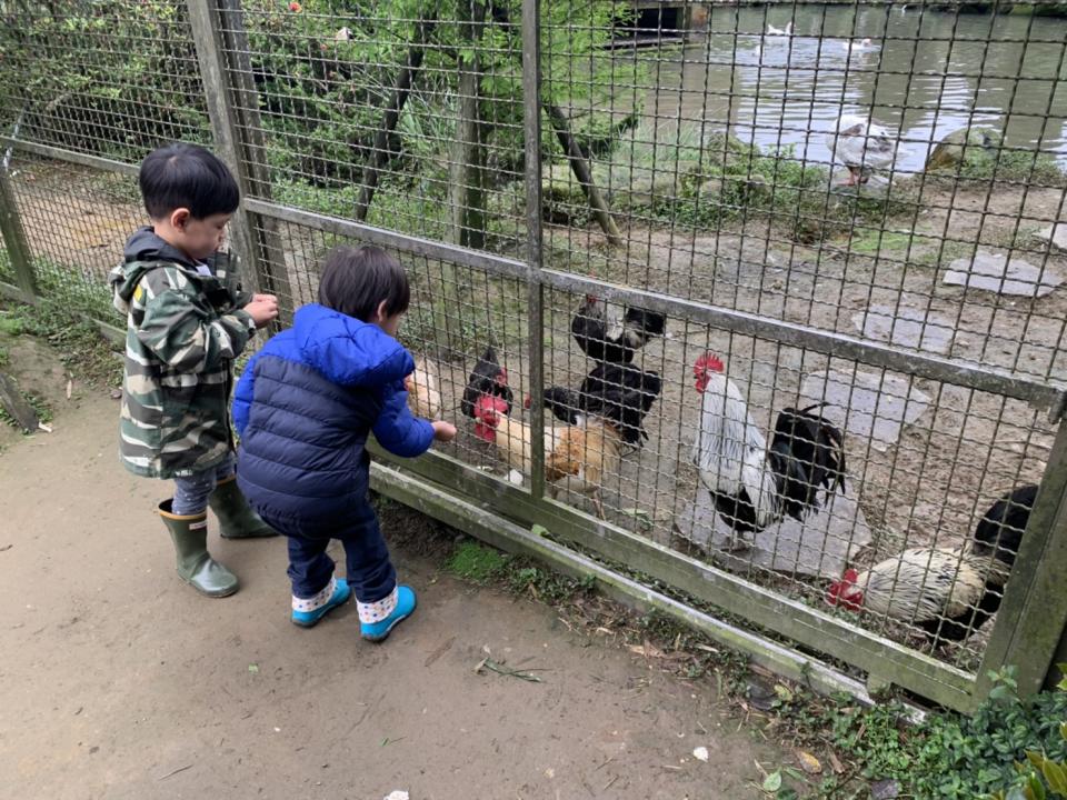 台北後花園「陽明山」半日遊