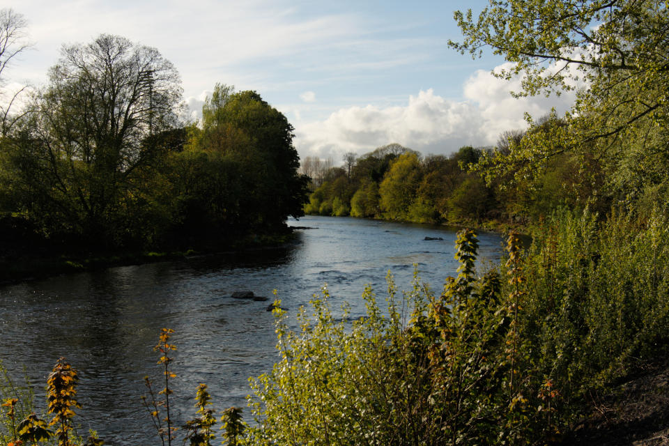 UK nature