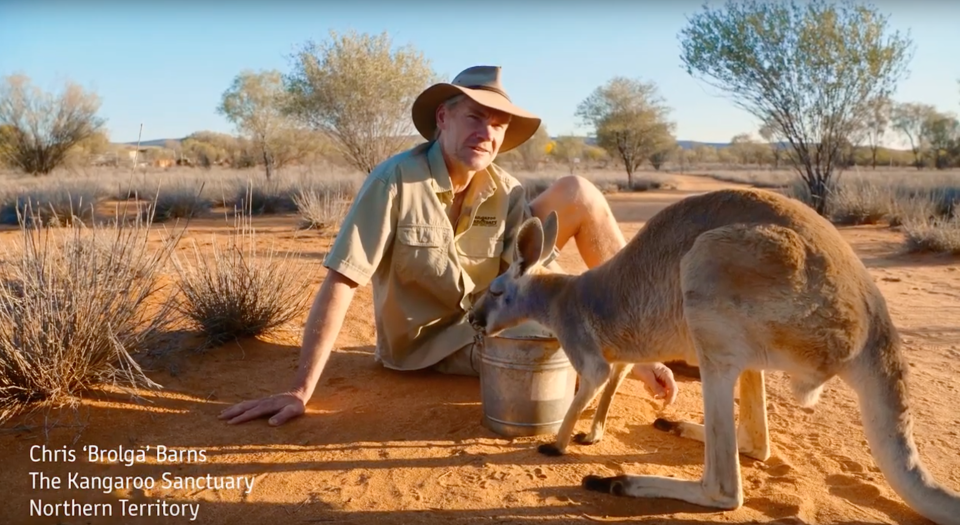 Chris 'Brolga' Barns with a kangaroo at The Kangaroo Sanctuary in the Northern Territory during a Tourism Australia ad.