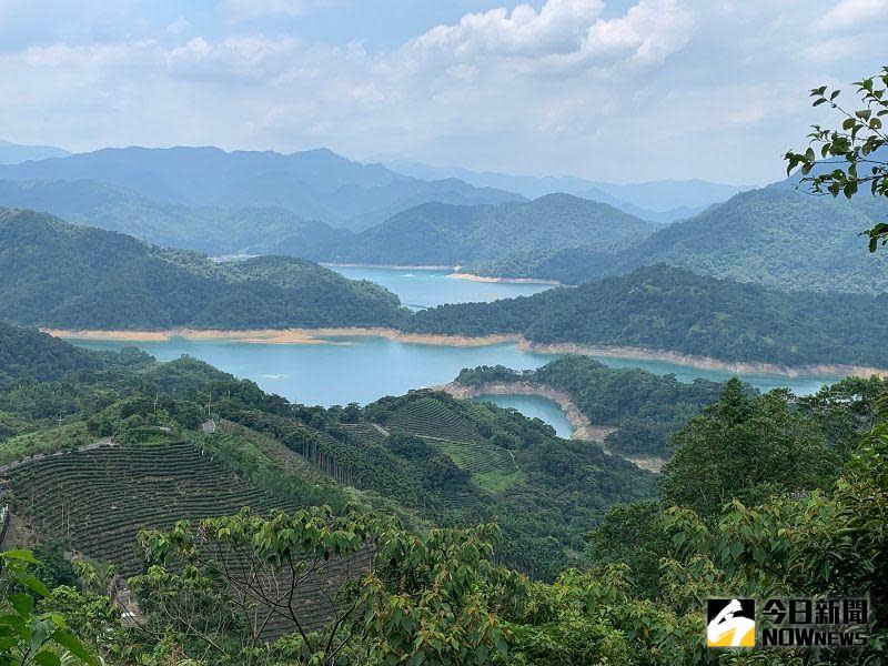 ▲從高處往下看，發現湖中島的形狀彷彿有兩隻鱷魚在接吻，一旁還有一隻小鱷魚。(圖/記者康子仁攝)