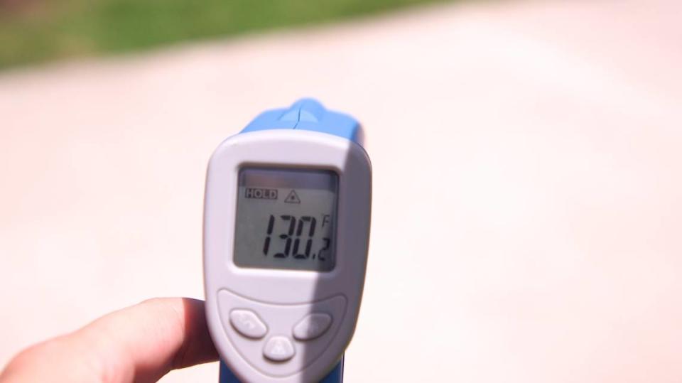 Sidewalk at Margaret Pace Park measured 130 degrees on July 24.