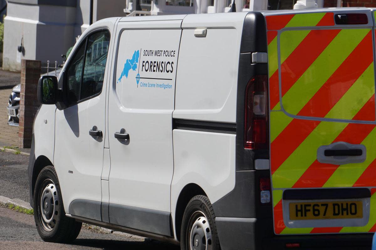 CSI van stock image <i>(Image: Daily Echo)</i>