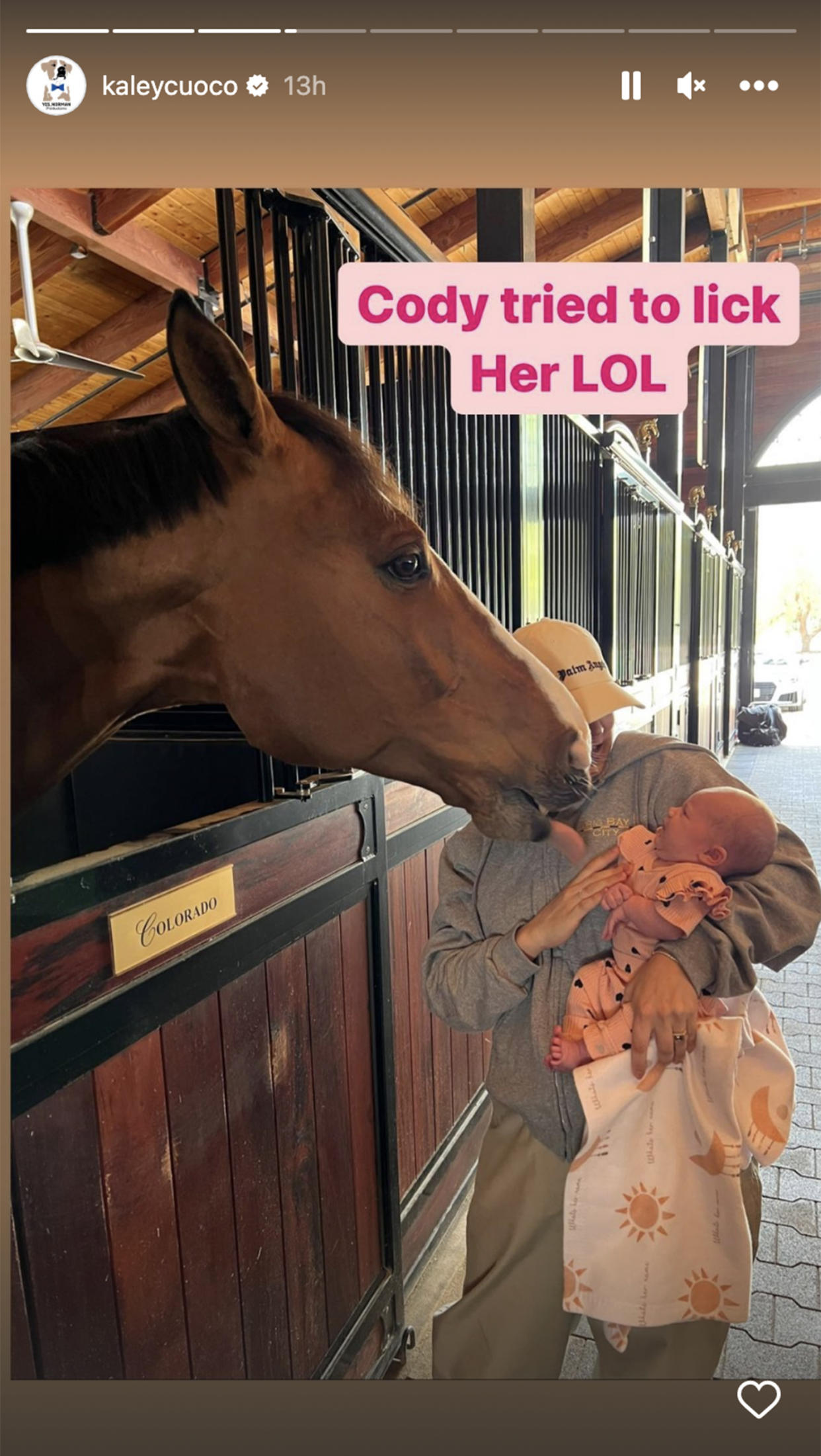 Matilda got quite a close-up from one of Cuoco's horses. (@kaleycuoco via Instagram)