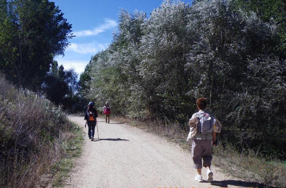 Uno de los destinos religiosos ejemplo de éxito en términos de producto turístico y comercialización es el Camino de Santiago.