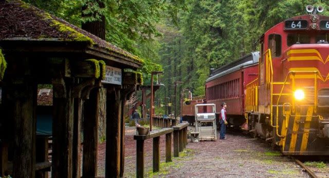 The Skunk Train