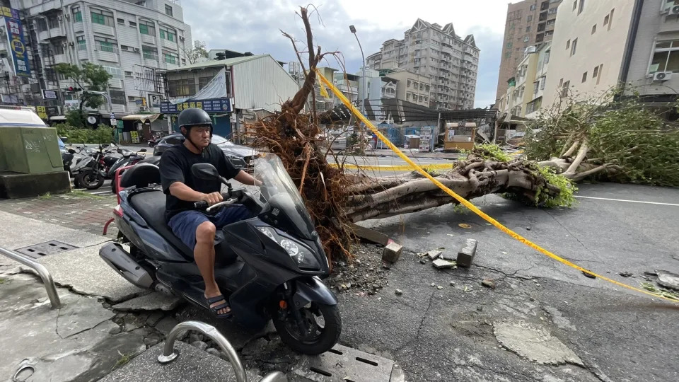 山陀兒颱風讓高雄市連放4天颱風假，馬路仍有不少傾倒的路樹待處理。記者劉學聖／攝影