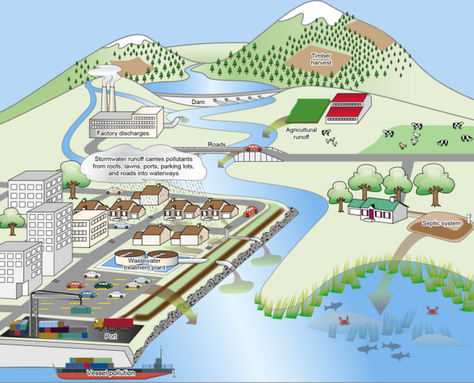 Sources of water quality impairment in the Puget Sound region include pollution by point sources, such as factories and stormwater discharged from pipes, and nonpoint sources, such as agricultural runoff, septic systems, vessel operation and stormwater runoff not covered by a permit.