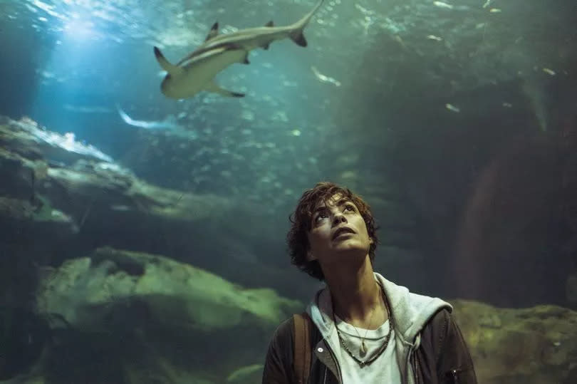 A woman looking up with the sea and a shark in the background