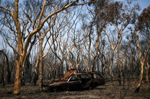 The�wildfires have killed at least 28 people and burned an area larger than Portugal