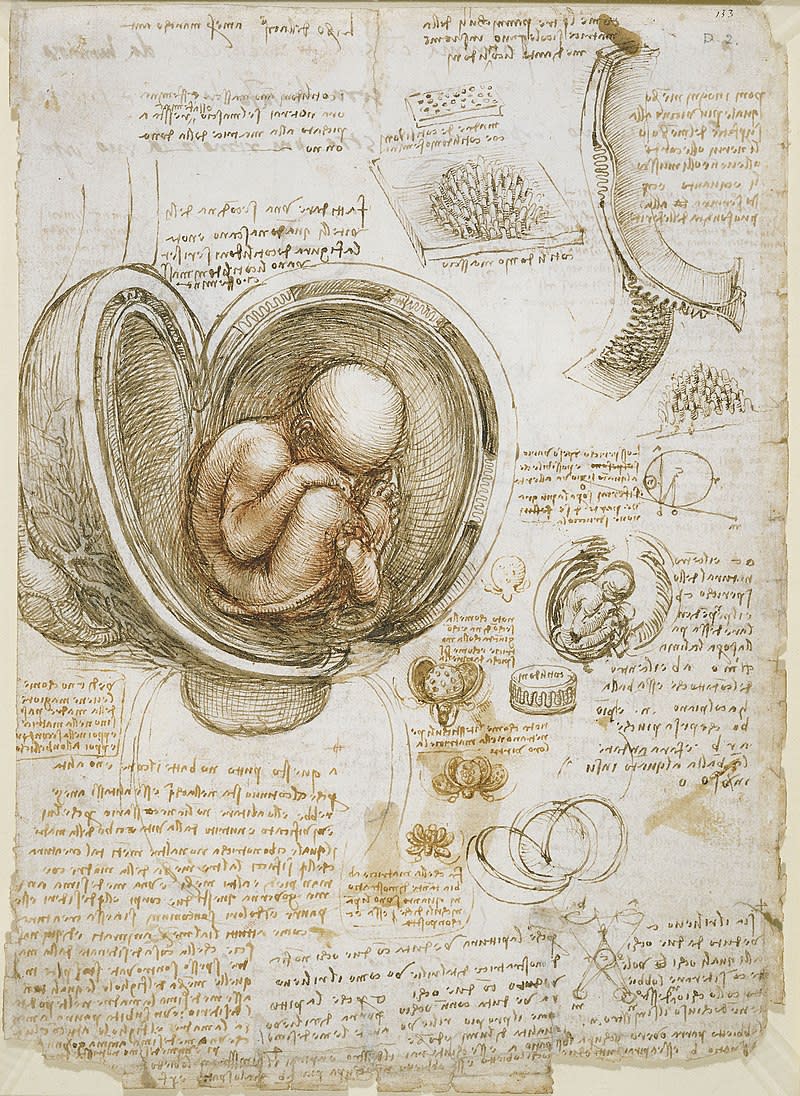 Estudio sobre el feto en el útero de Leonardo da Vinci. (Crédito imagen: Wikipedia).