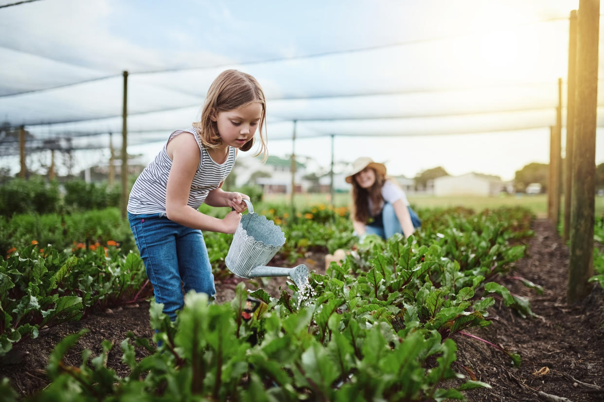 Teaching children to have an environmental conscience can help shape their future [Photo: Getty]