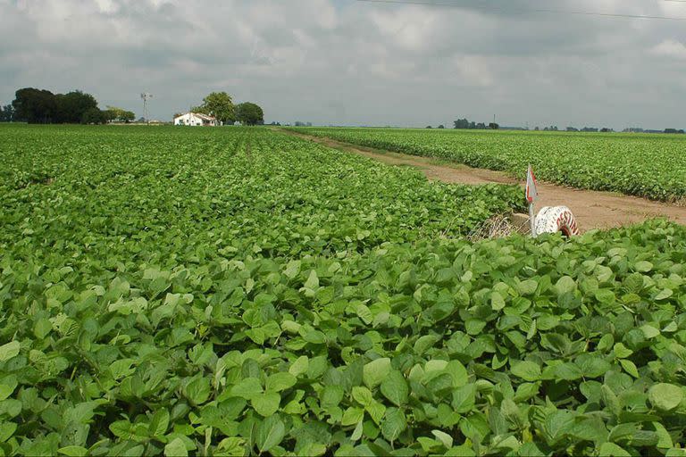 En los últimos 40 años el precio de los campos se incrementó a una tasa compuesta del 4,8% anual