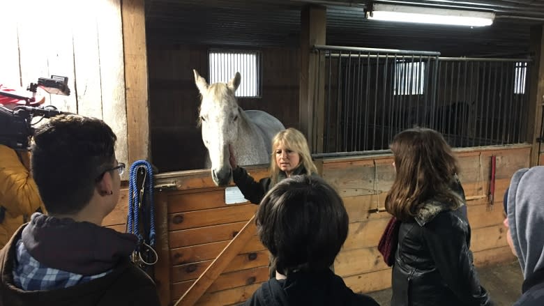 Musical Ride horses help build character and confidence for troubled youth