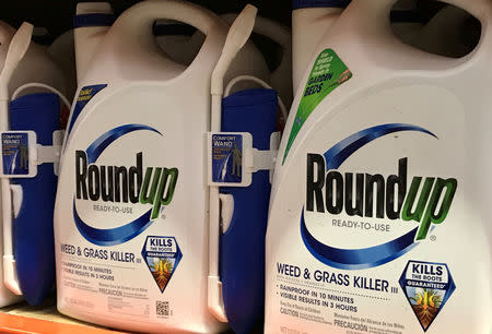 FILE PHOTO: Monsanto Co's Roundup is shown for sale in Encinitas, California, U.S., June 26, 2017. REUTERS/Mike Blake