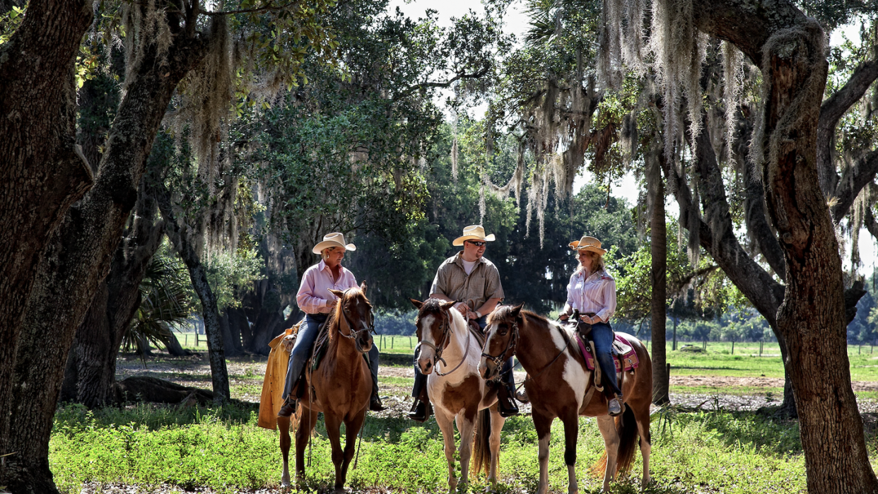 three people riding horses under oak trees and sppanish moss