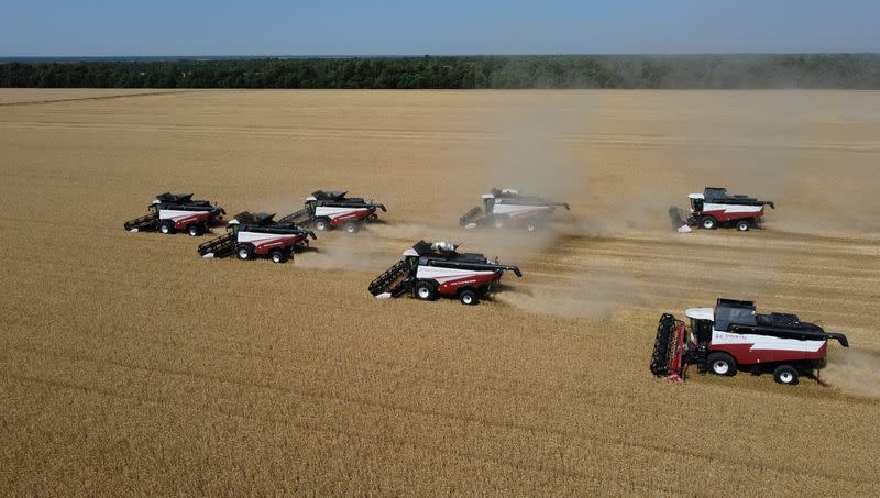 Wheat harvest in Russia's Rostov Region