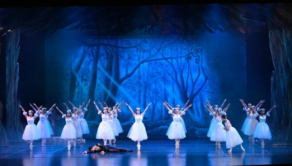 Escena del segundo acto de “Giselle”, la noche del sábado 10 de febrero en el Miami-Dade County Auditorium. 