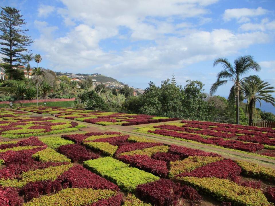 Parterres del Jardín Botánico de Funchal