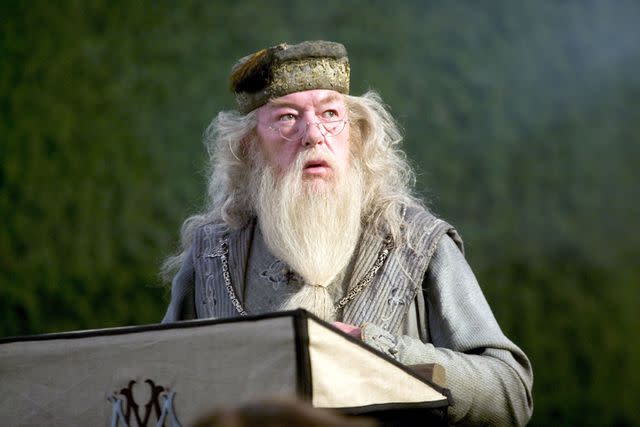 <p>Warner Brothers / courtesy Everett</p> Michael Gambon as Albus Dumbledore in 'Harry Potter and the Goblet of Fire'
