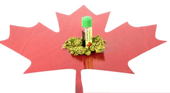 Marijuana buds and bottle of CBD oil on top of cutout of red Canadian maple leaf