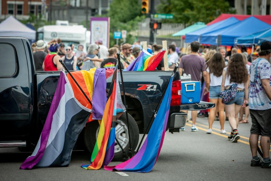 Grand Rapids Pride Festival on Saturday, June 22, 2024. (Michael Buck/WOOD TV8)