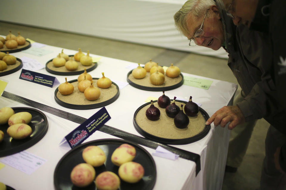 The Annual Harrogate Autumn Flower Show