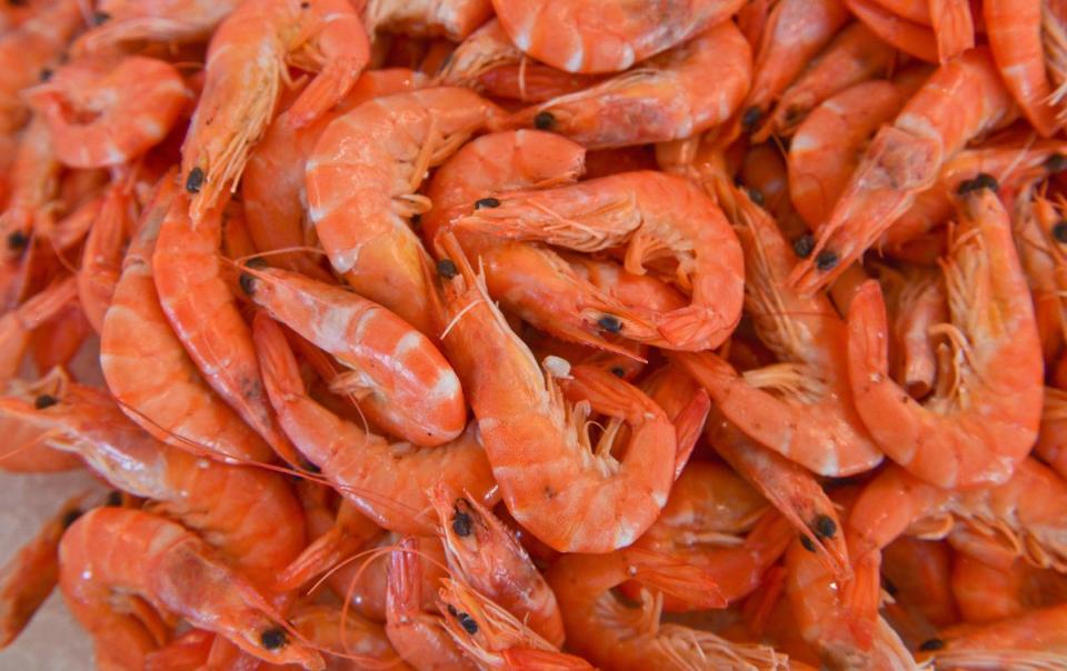 Pile of cooked prawns