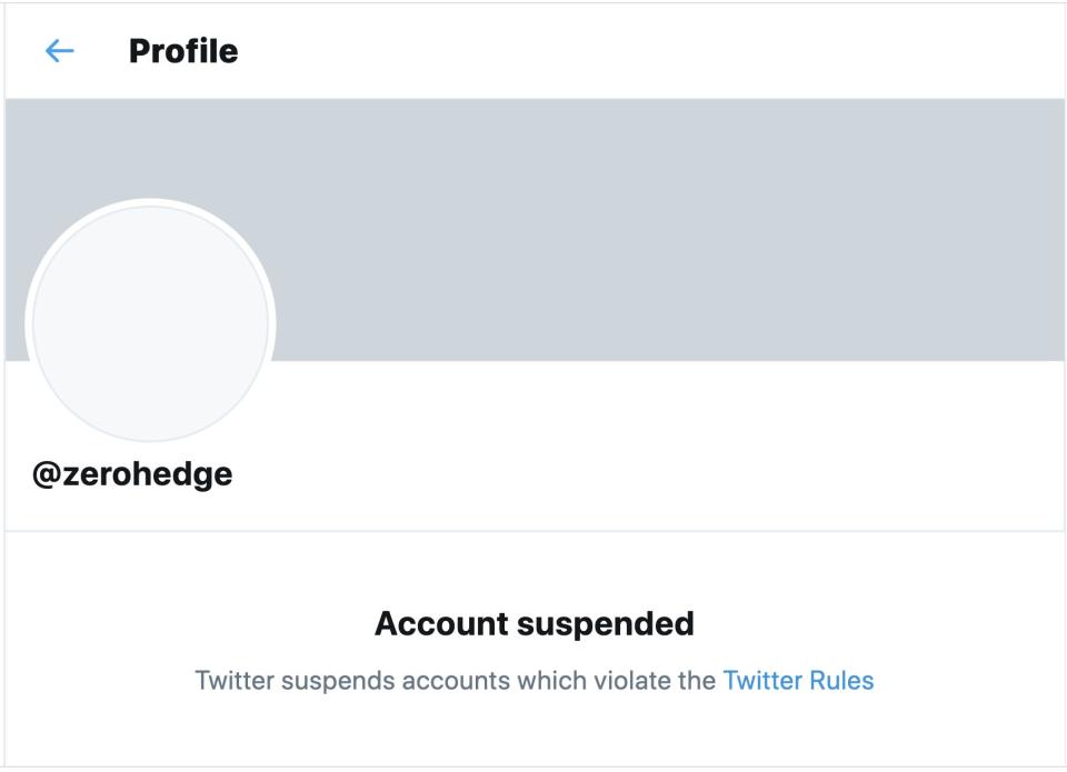 Zero hedge twitter suspension