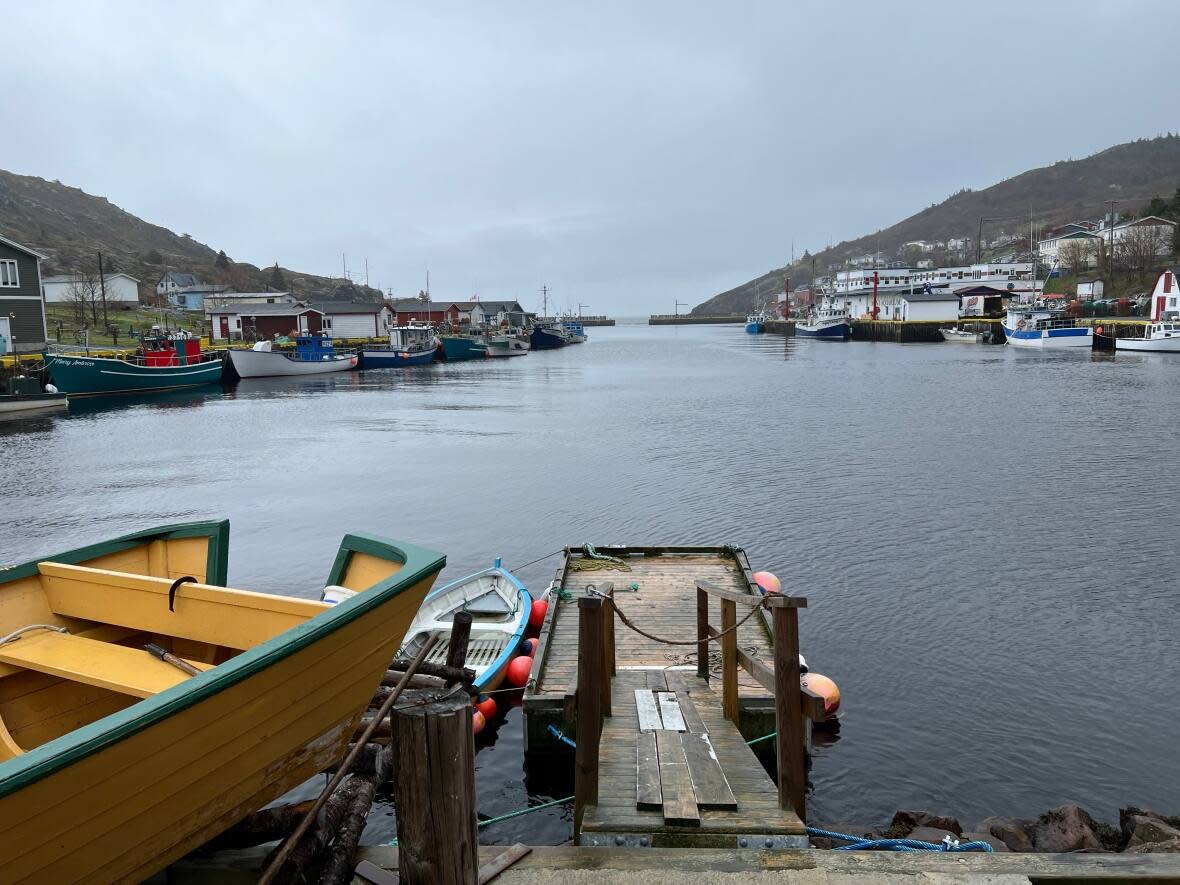 The view from the Fishing for Success wharf in Petty Harbour.  (William Ping/CBC News - image credit)