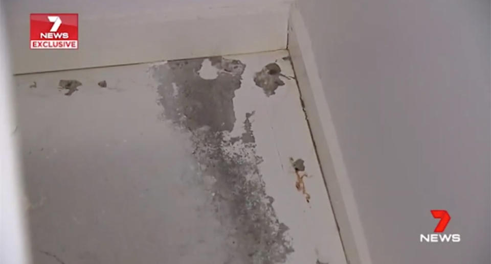 A Brisbane family fears for their health after discovering a mould outbreak in their recently-built “unlivable” duplex, while they say their insurer is taking too long to get them help. Source: 7 News