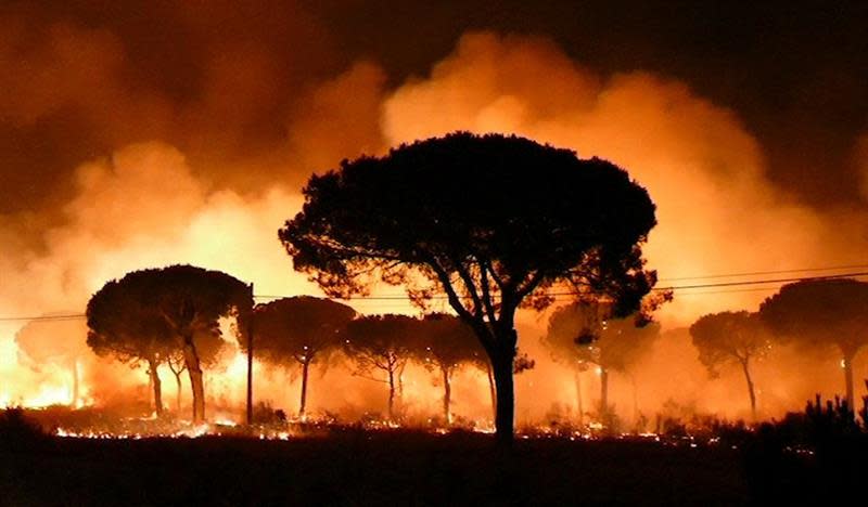 <p>Un incendio enorme llegó a la reserva de la biosfera de la UNESCO en el sur de España, provocando la evacuación de cientos de personas. (FOTO: EFE). </p>