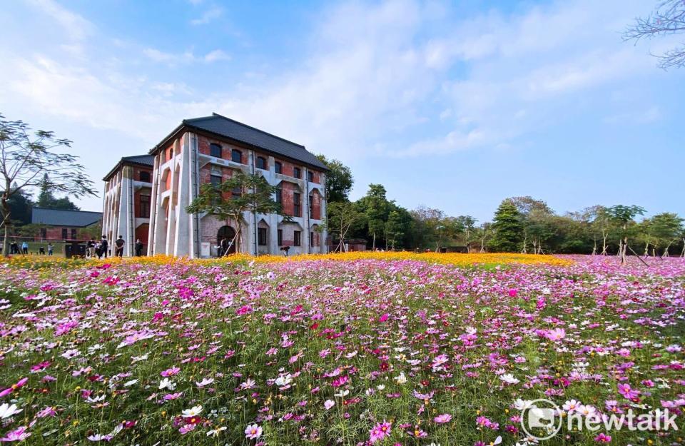 到水道博物館旅遊除可以參觀歷史建物，還可欣賞美麗的花海。   圖：台南市政府提供