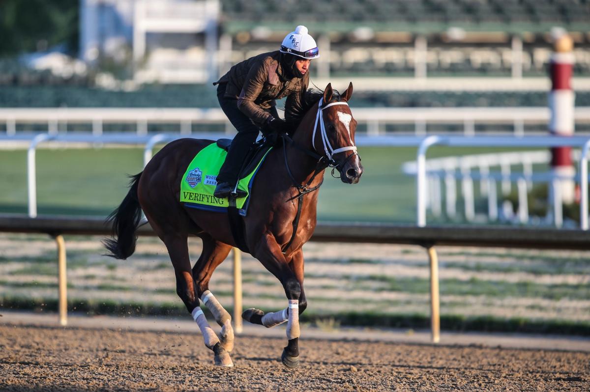 8 Secretariat descendants are in 2023 Kentucky Derby field Odds, what