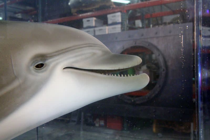 Robot dolphin could signal end of captive animals