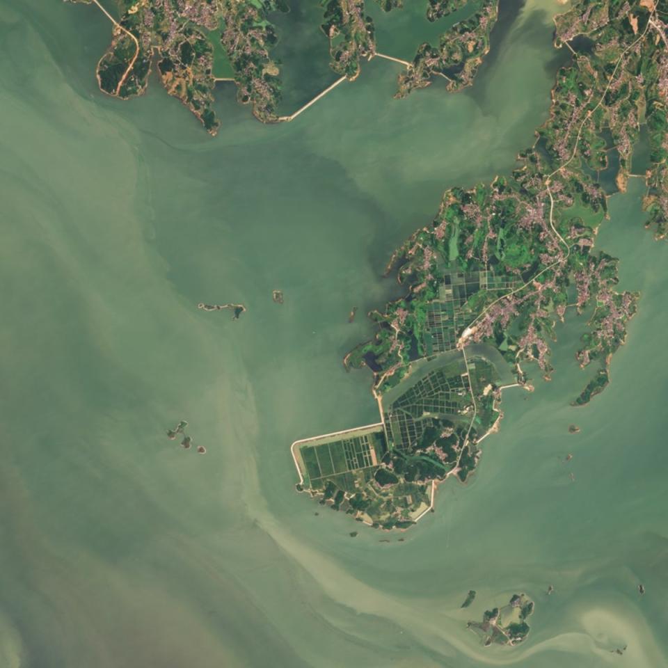 China’s lake Poyang as seen on 8 August 2021 (Planet Labs PBC)