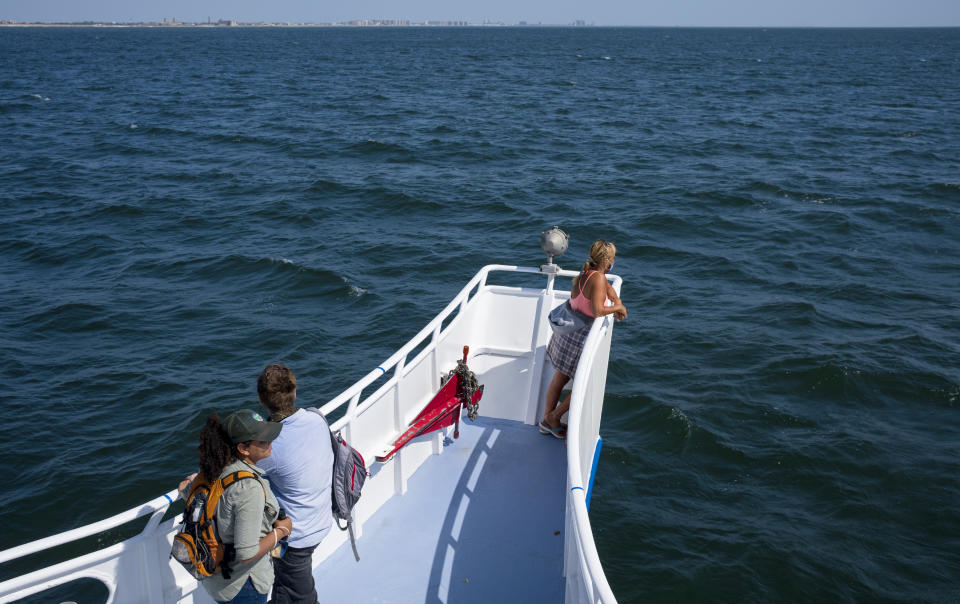 Participants aboard the American Princess cruise vessel await a first siting during a whale spotting cruise off the New York coast line Wednesday, Sept. 23, 2020. According to Paul Sieswerda, President and CEO of Gotham Whale, sightings are up nearly a hundred fold from just a decade ago, with an abundance of menhaden seemingly driving the whale resurgence. (AP Photo/Craig Ruttle)