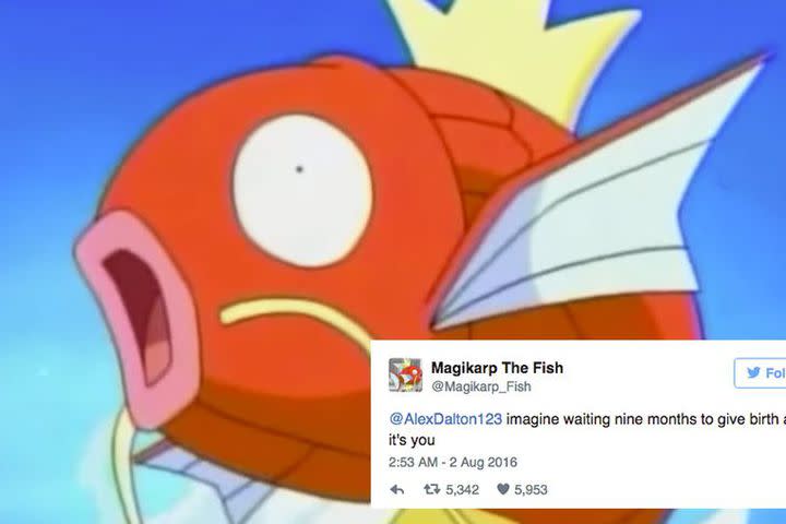 pokemon memes magikarp